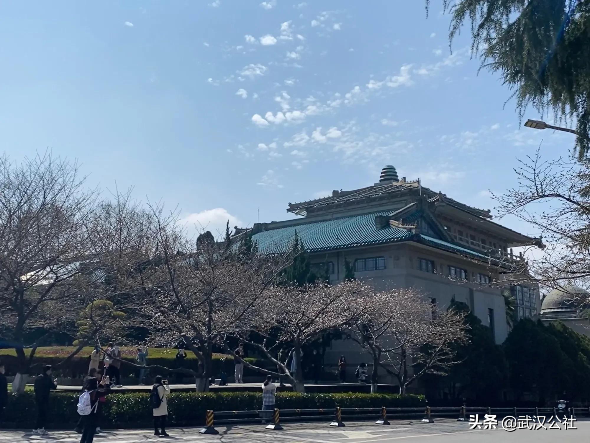 光谷南片区价值全解析,光谷未来学府规划图