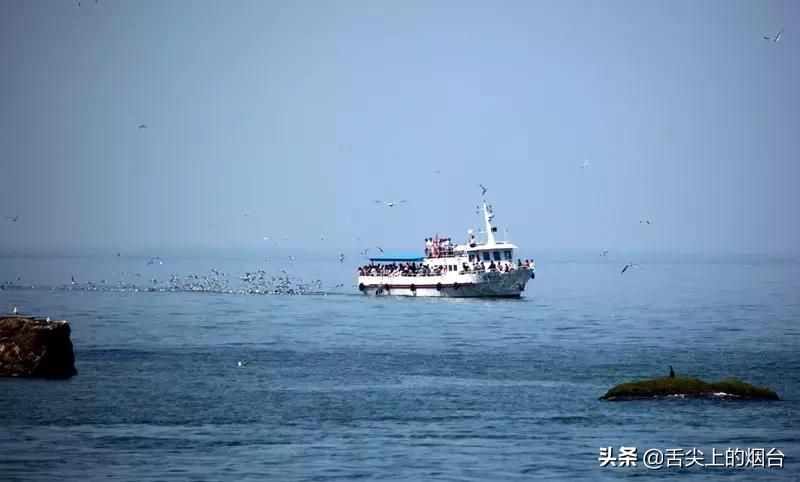 烟台海鲜小杂鱼批发,烟台海鲜自提