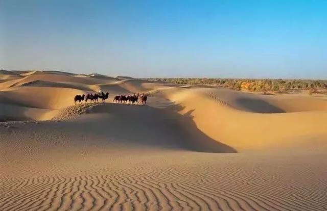 朗程教育金笔作文公开课怎么讲,朗程教育金笔作文教材四年级