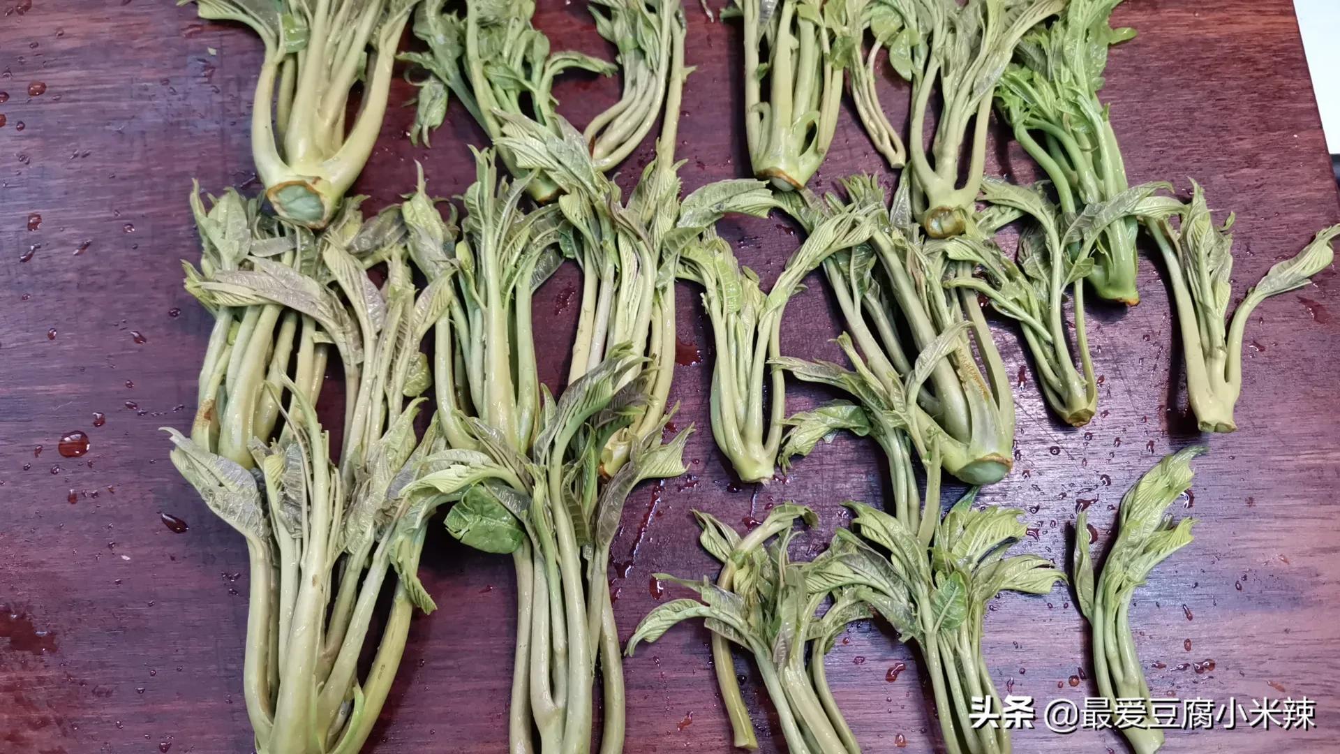 香椿芽怎么才能长期保存才新鲜,香椿芽一年四季都可以吃吗