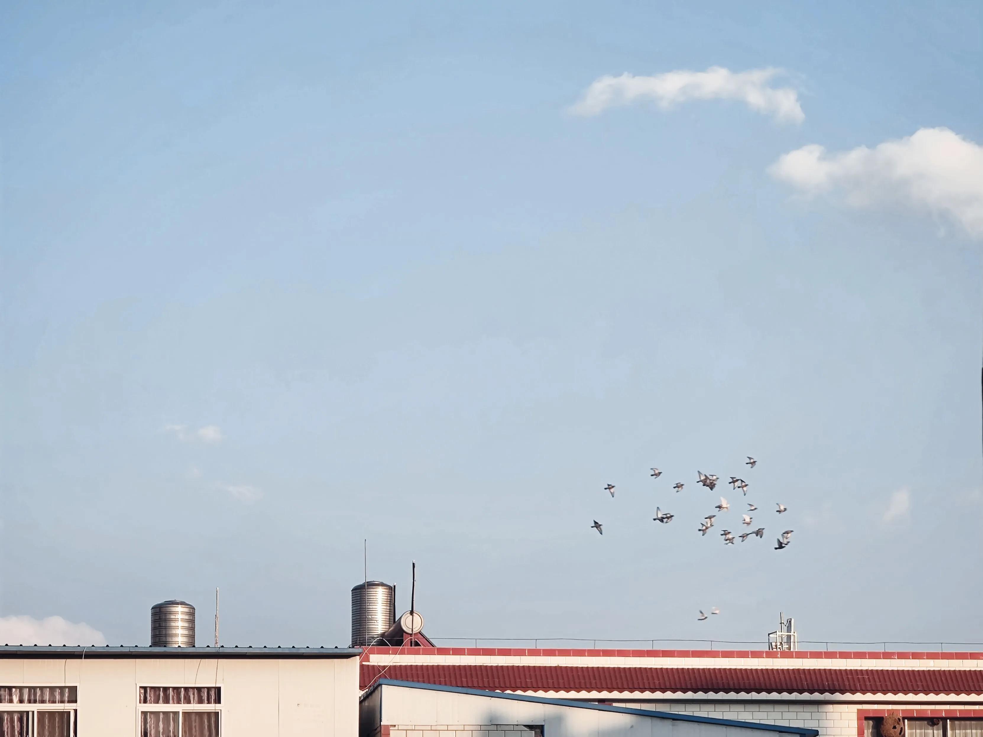 小米10至尊纪念版和荣耀magic3pro,小米10至尊纪念版对比小米11ultra