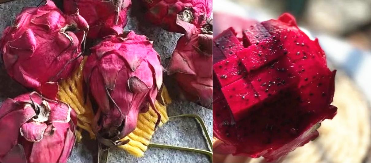 买火龙果黄心,买火龙果是买红色的还是白色的