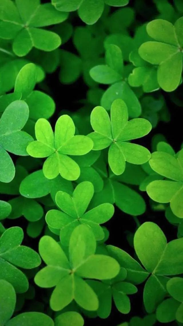 白岩松经典语录昨天比今天好 (白岩松经典语录最难的事终会过去)