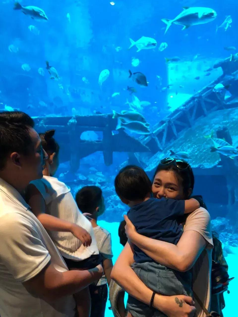 43岁大s暴瘦,大s公布月瘦10公斤的暴瘦食谱