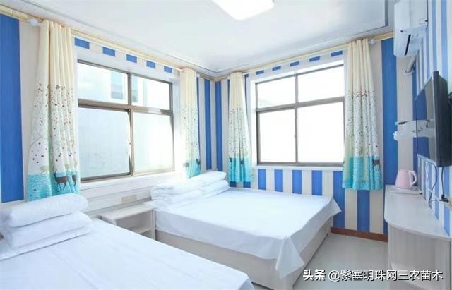 爱上一座城爱上一个人短视频,长岛大壮渔家民宿团购