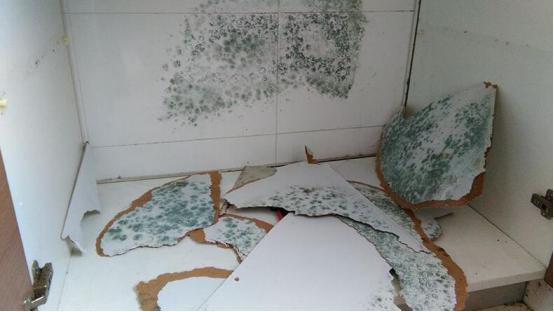 临沂沂南县房子装修,沂南装修费用明细