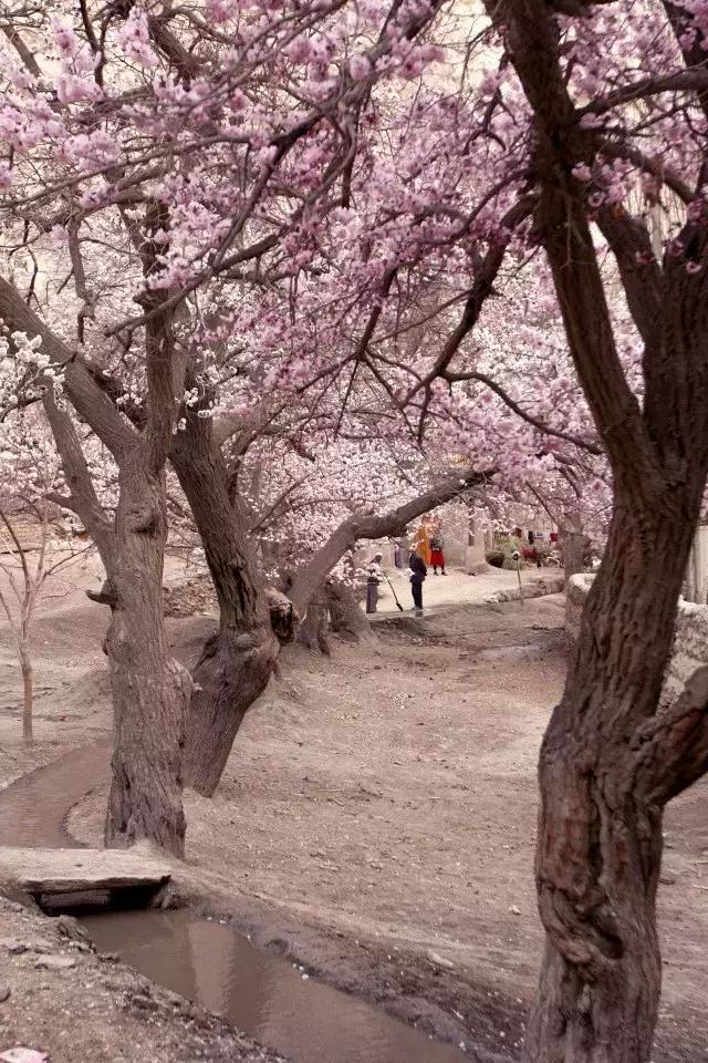 玄奘穿越帕米尔路线,帕米尔高原路线图帕莎古道