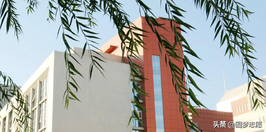 为什么医科类211只有天津医科大学,天津医科大学有什么好的专业