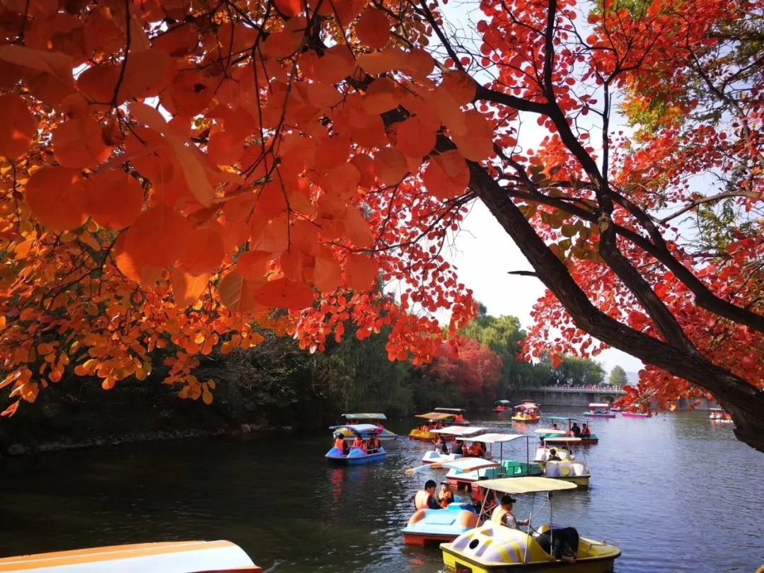 济南遛娃室内去哪里玩,济南遛娃好玩的地方