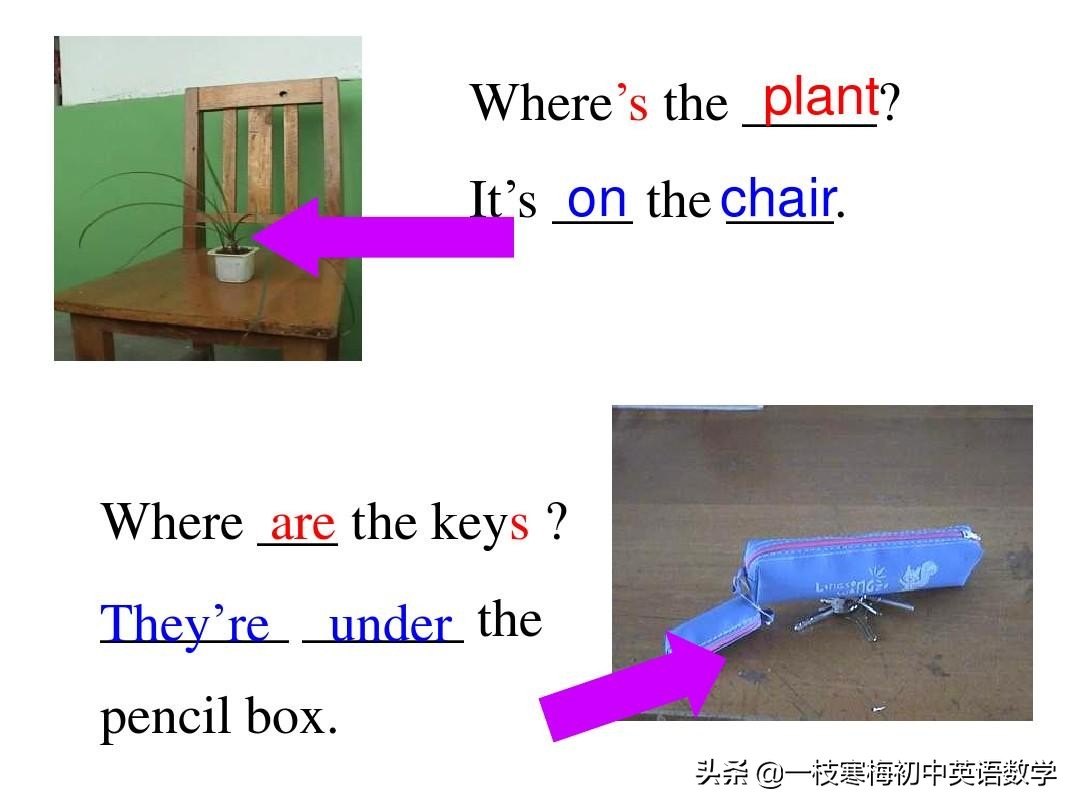 七年级上册英语第九单元section2b,七年级上册英语第八单元sectionb