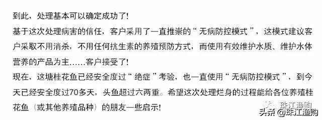 桂花鱼烂鳃怎样治,桂花鱼烂身怎么处理