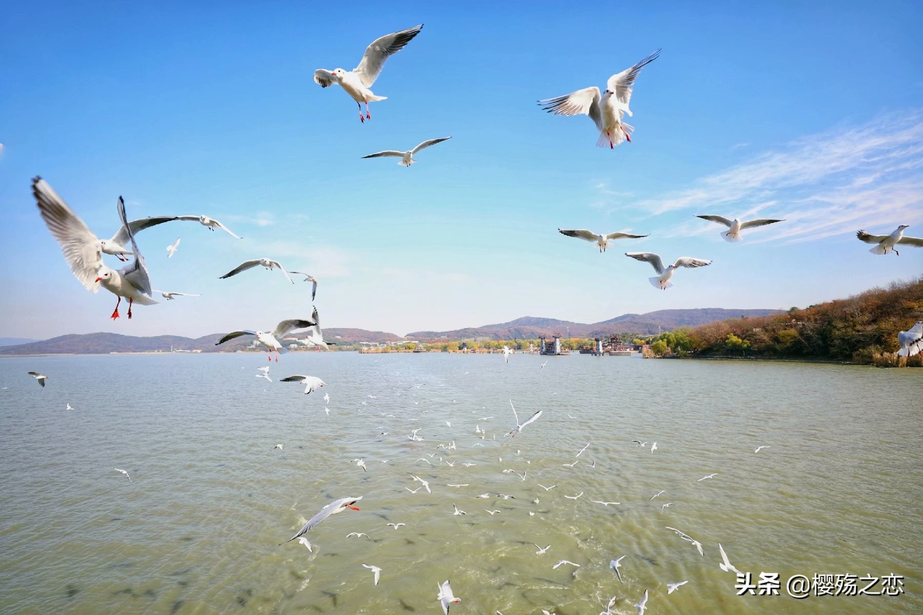 无锡横店影视城,无锡影视城与横店影视城对比