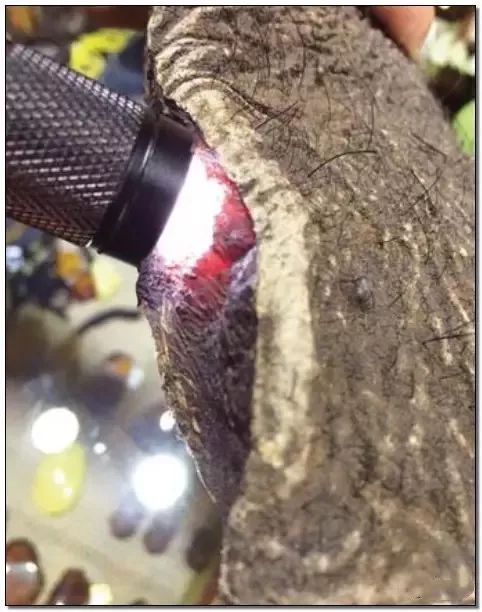 文玩的十大黑幕,文玩最让人无奈的六件事