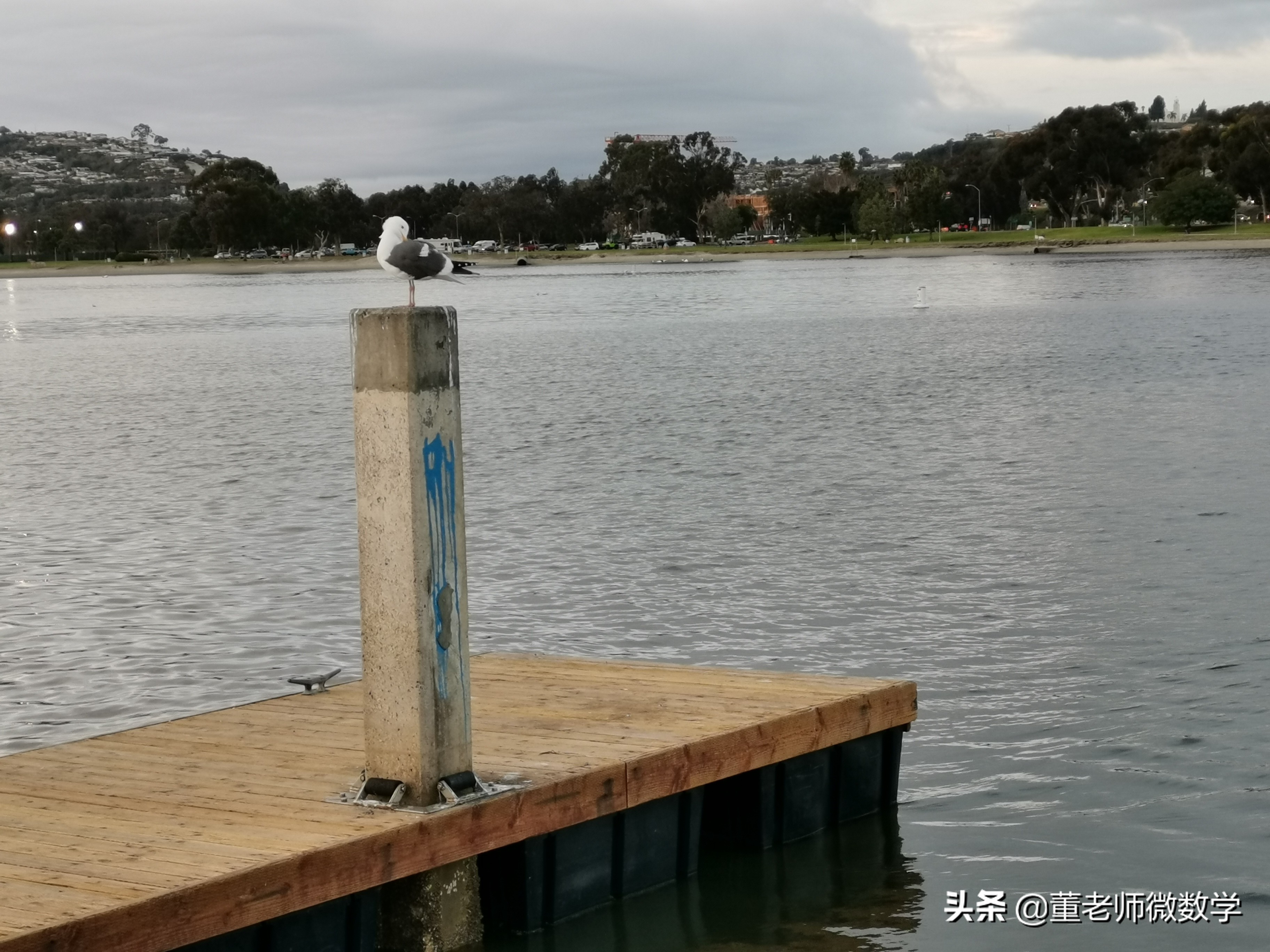 美国圣迭戈游学,美国圣迭戈留学