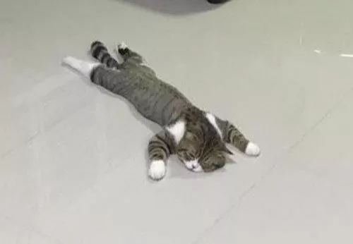 ​扌丸灬亻七时间，来聊聊扬州的房子、房价、房贷和房企……