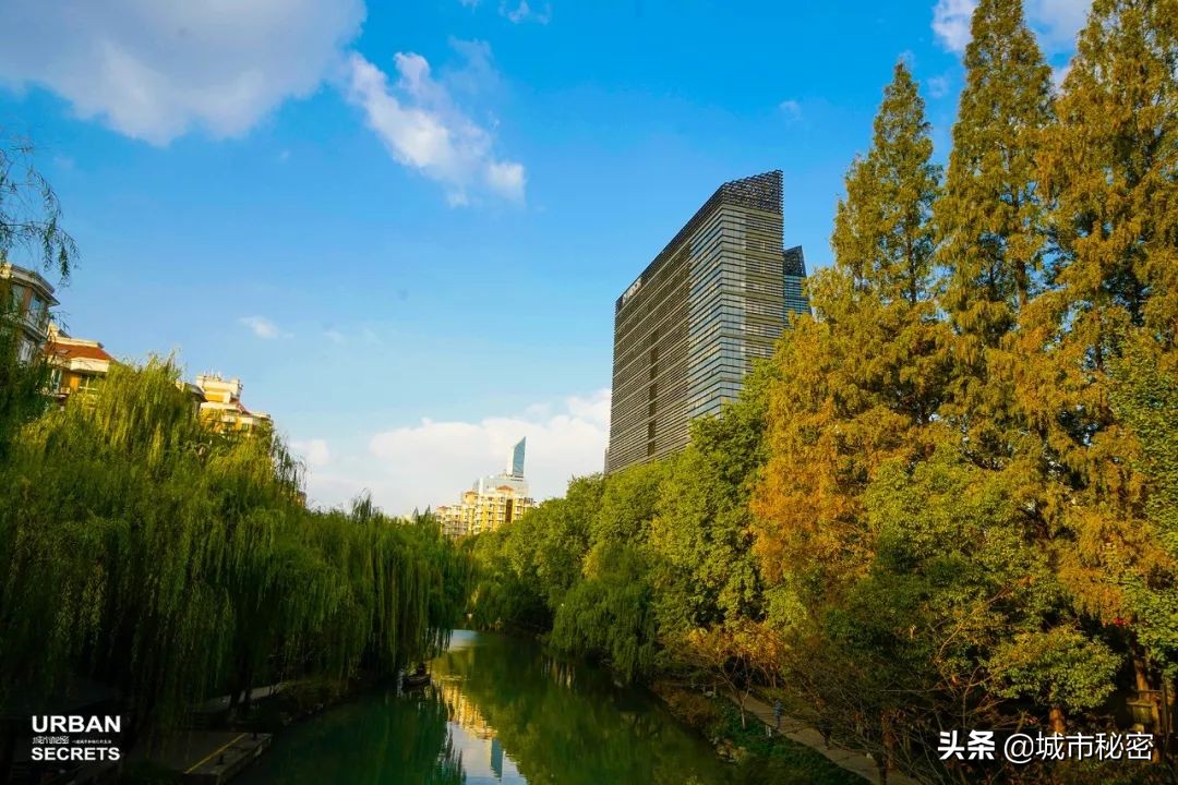 曾经的杭州第一大家族,杭州十大望族