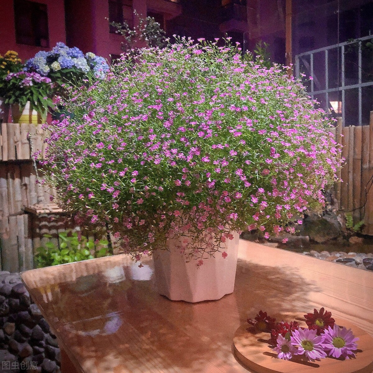 网上买花会不会被骗,网上买的花为何难栽活