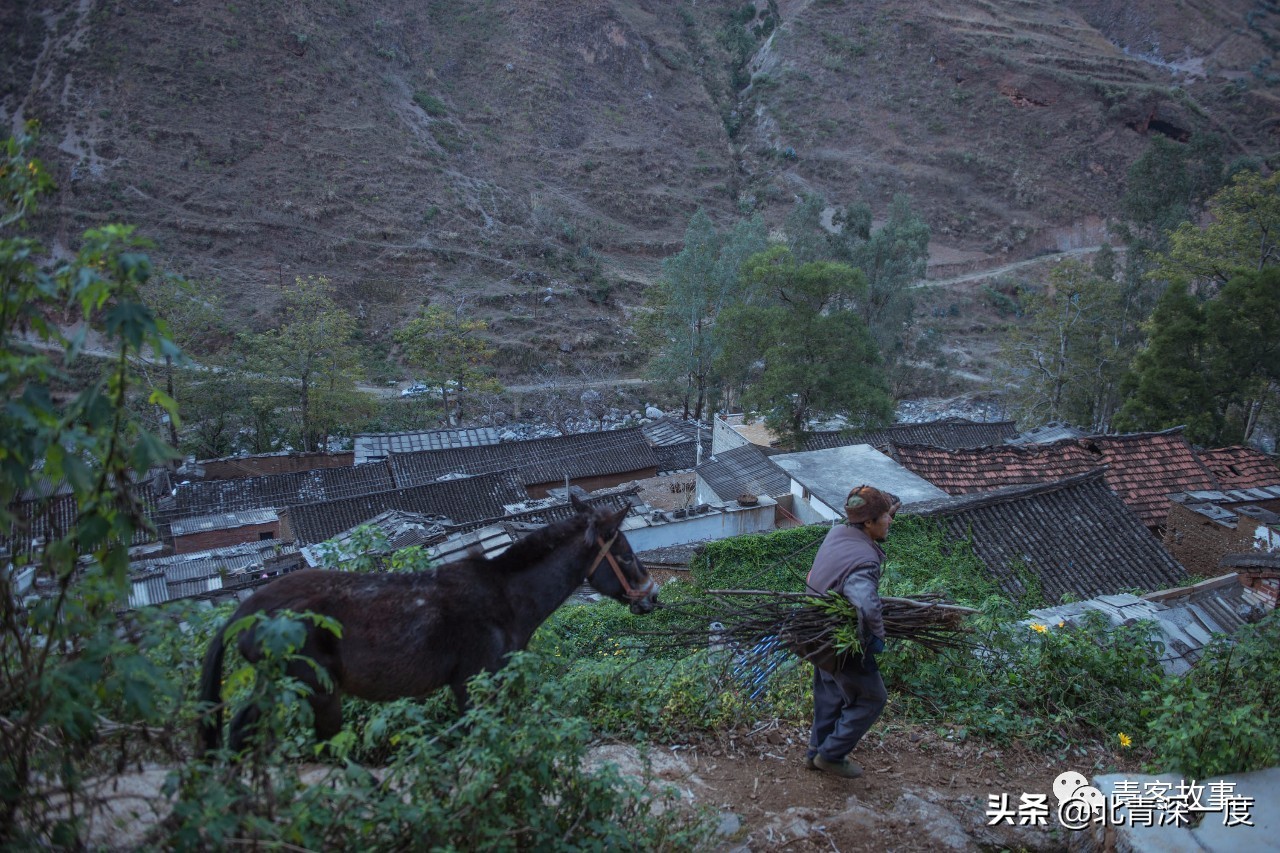 傻姑娘的婚姻生活,傻姑的婚姻状况
