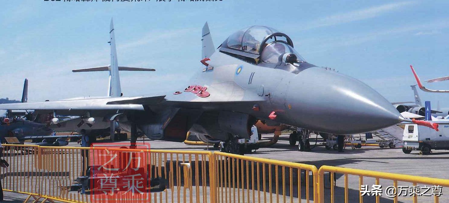 印度苏30战斗机,印度买中国最多的东西