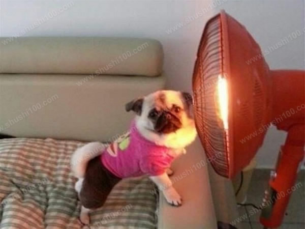 养成好习惯祛痘变简单,养成什么习惯能让痘痘变少