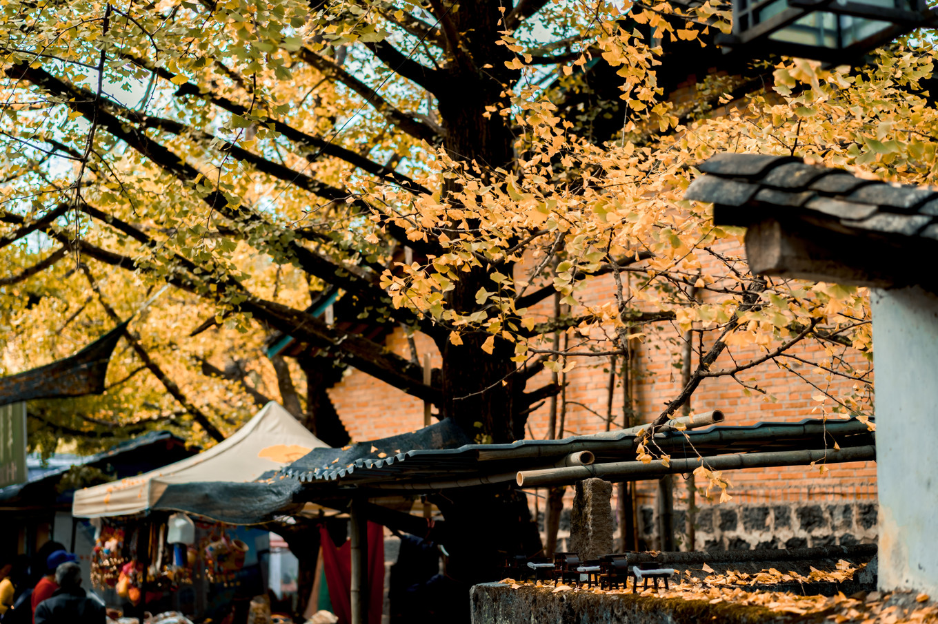 云南腾冲9月旅游攻略,云南腾冲旅游攻略秋天