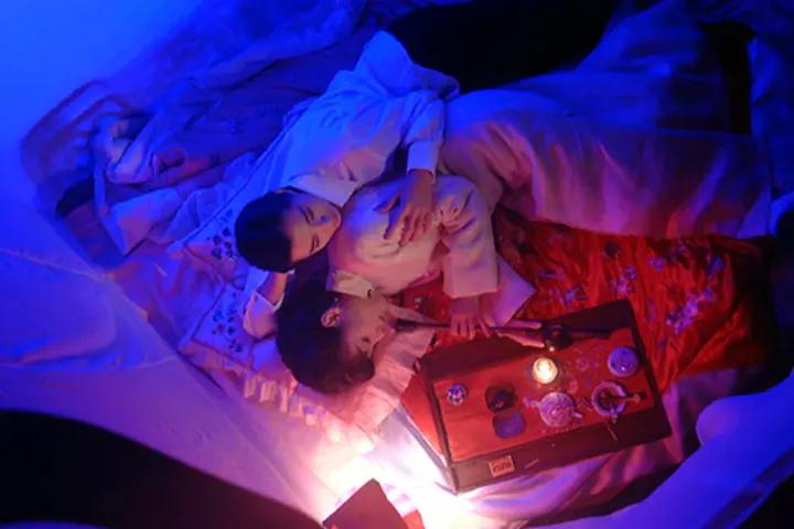 豪门姨太与老爷表妹的缠绵*恋虐**,两绝代佳人合璧——《游园惊梦》