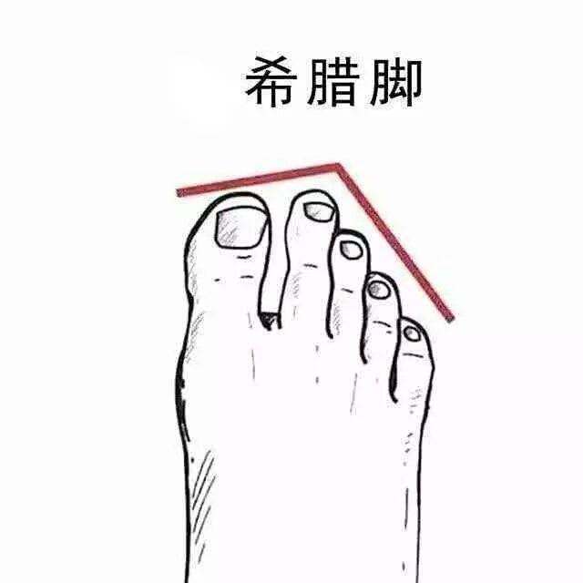 最好看脚型埃及脚,埃及脚希腊脚哪种脚型好