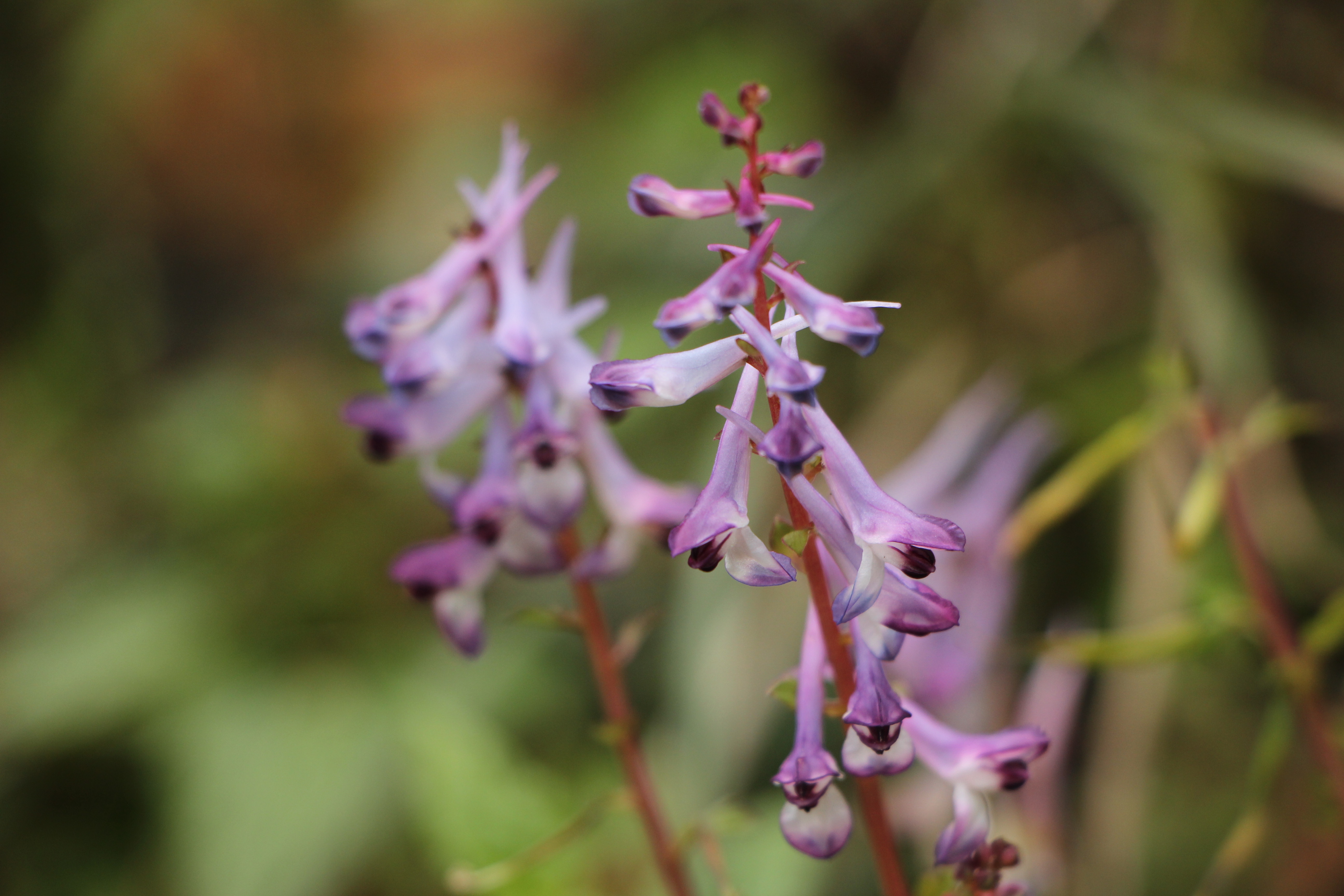 成熟人才能看懂什么,成熟的人知道自己成熟吗