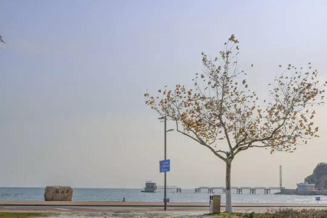 辽宁省高校（三十一）大连医科大学