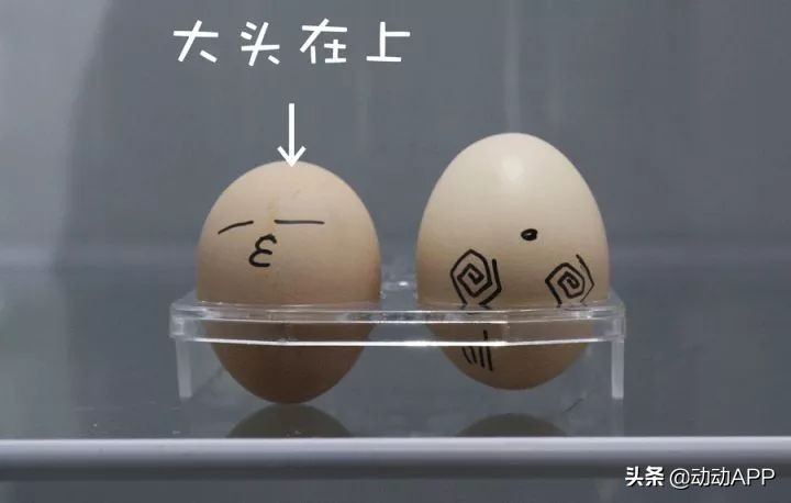 蛋仔派对究竟隐藏什么秘密,蛋仔派对的隐藏秘密