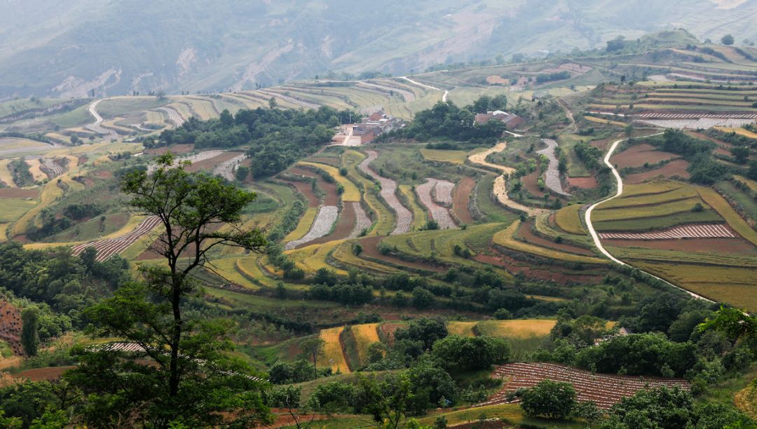 蓝田全域发展规划,建设美丽的蓝田