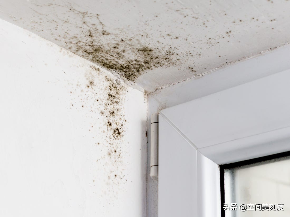 墙上顽固的霉菌怎么处理,怎么清除霉菌生活小妙招
