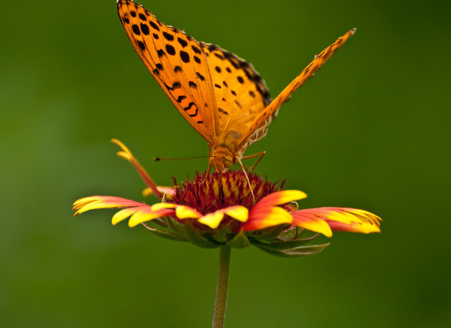 沪语全集,上海方言土话大全集