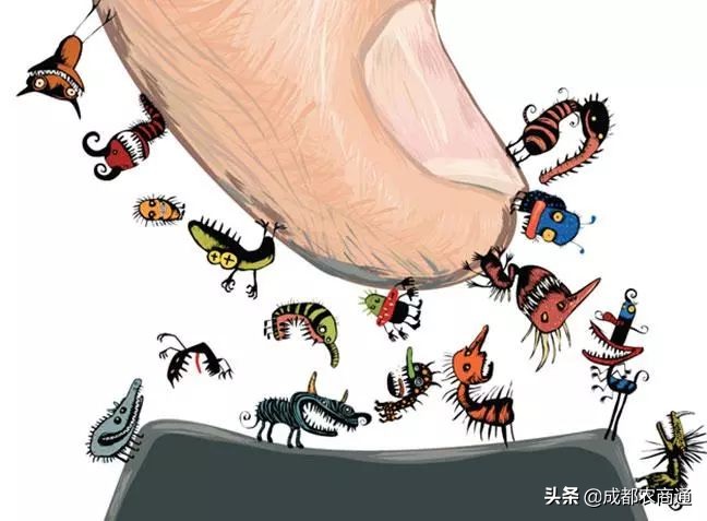 土鸡养殖技术哪里学,土鸡技术知识大全