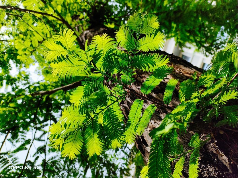 轻体验“对K套装”，大欧玩超值体验究竟如何？