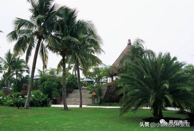 住宅小区植物配置方案,植物种植小技巧一览表图