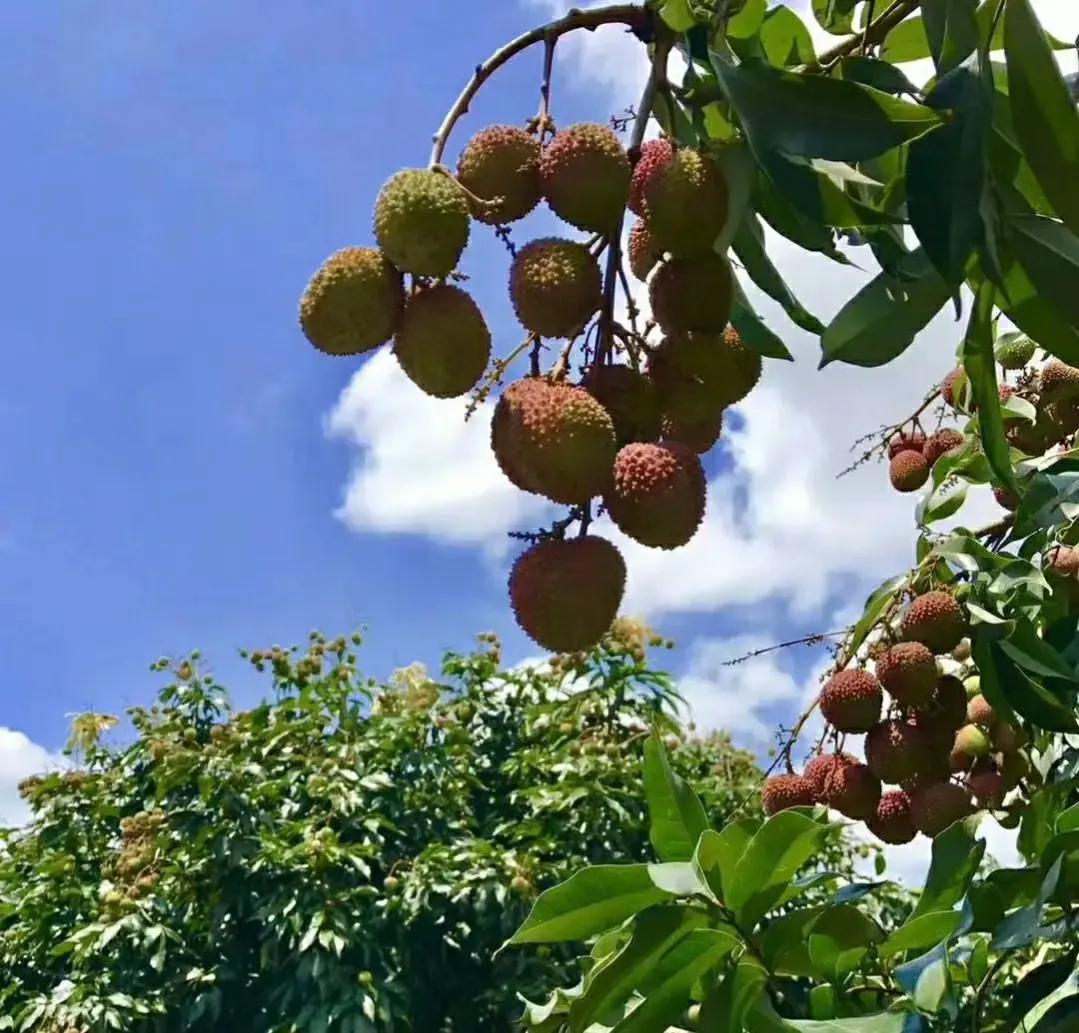 怎样做自媒体才能挣钱快,自媒体好做吗真的挣钱吗