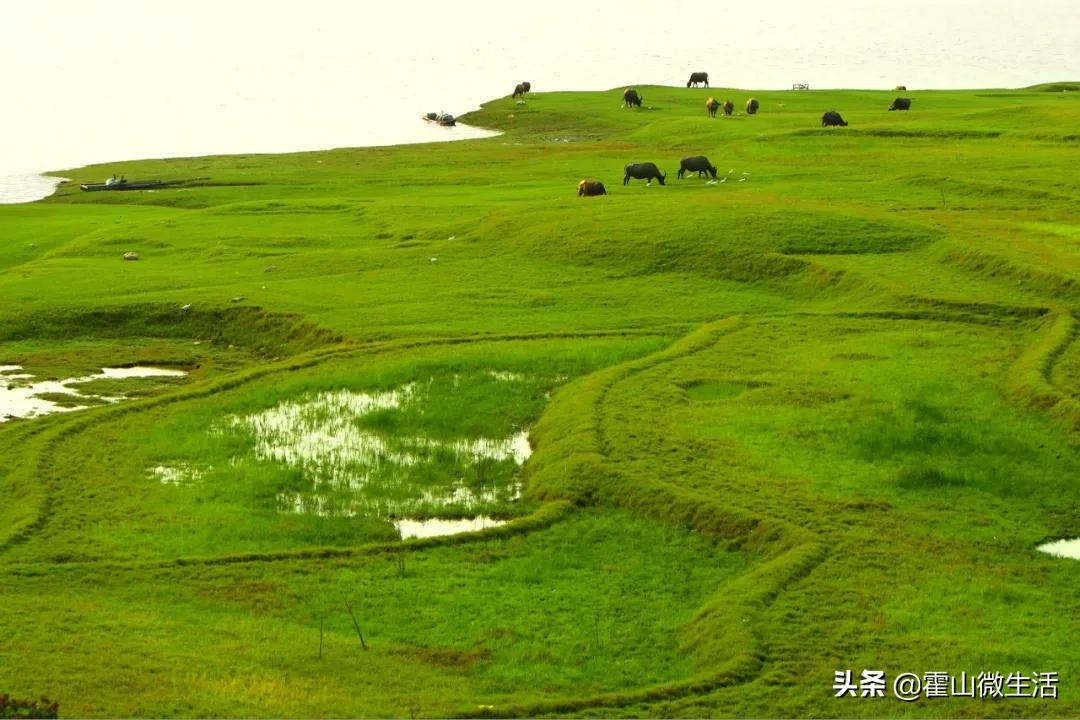安徽霍山旅游景区第一视角,安徽霍山旅游推荐