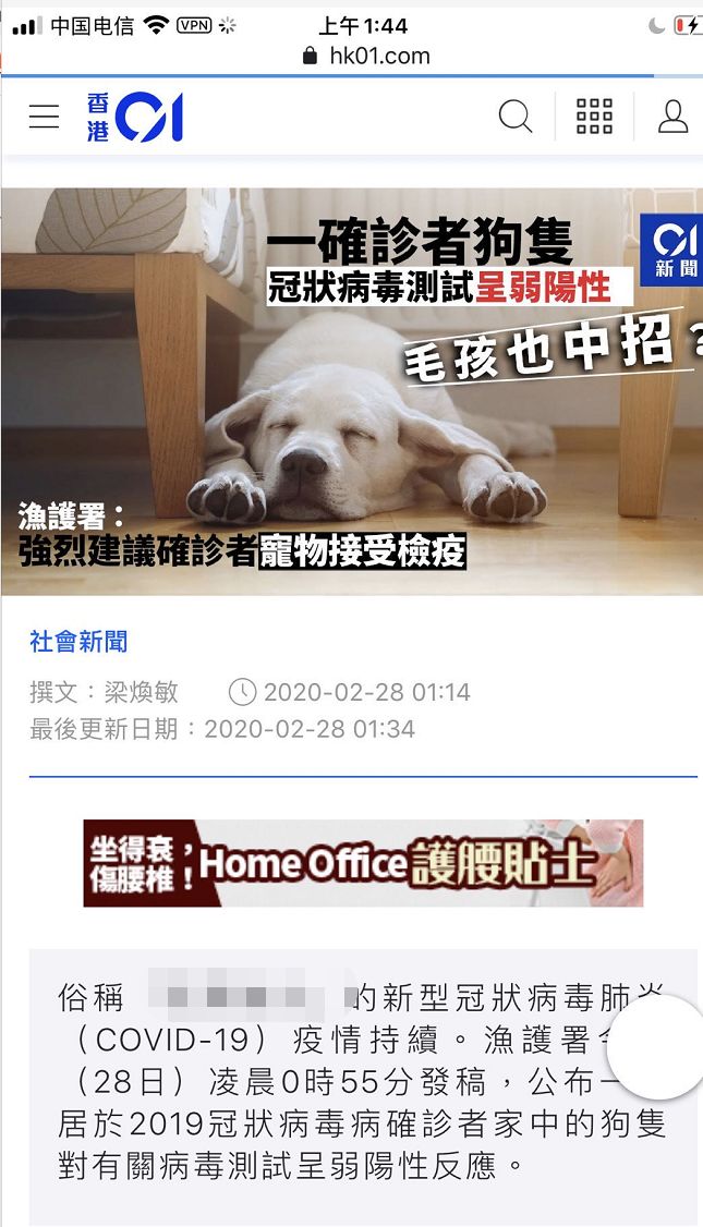 狗和新冠病毒有关系吗,狗感染新冠病毒的症状是什么