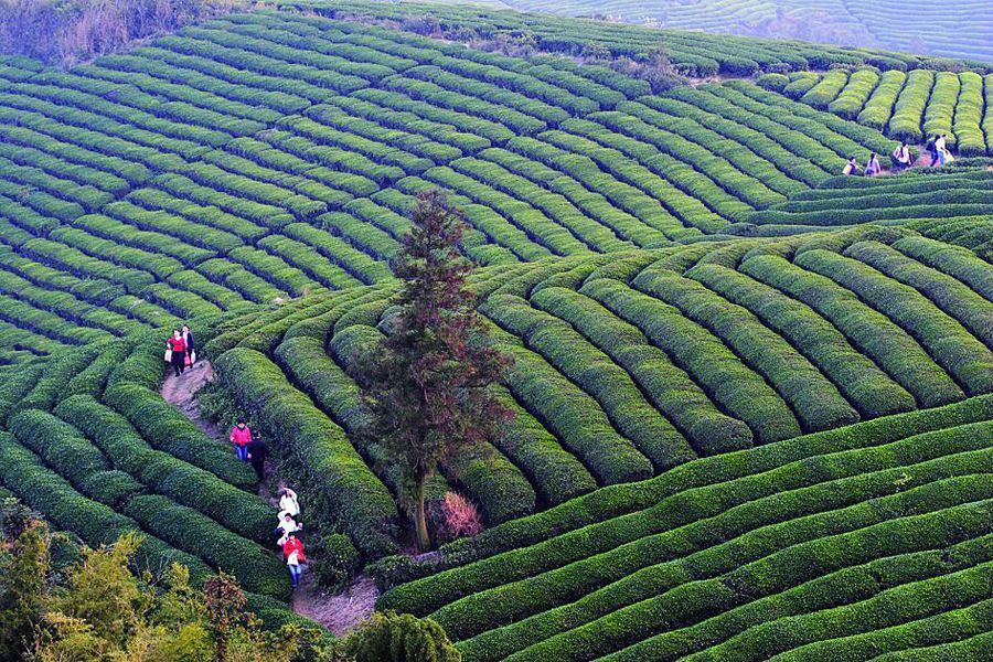 宁波江北十大最美古村,宁波十大秋天最美的地方