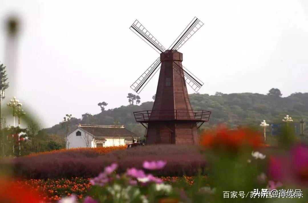 河源市连平县忠信镇大湖花海,太湖花海主题乐园