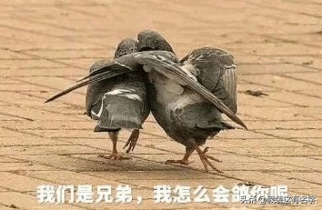 有哪些高档次的群名沙雕,那些超酷的沙雕群名字