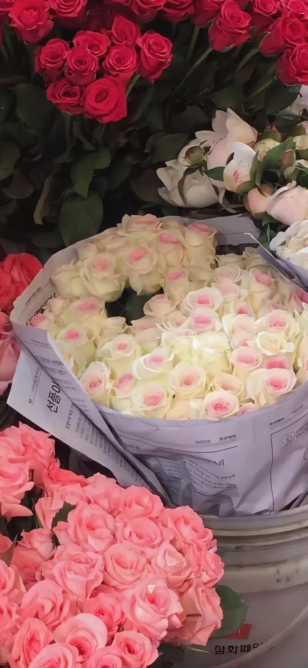 周杰伦图片高清壁纸,一组巨好看高清全面屏壁纸