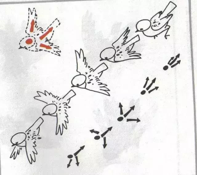 写意花鸟配景石的画法,干货写意花鸟类的画法