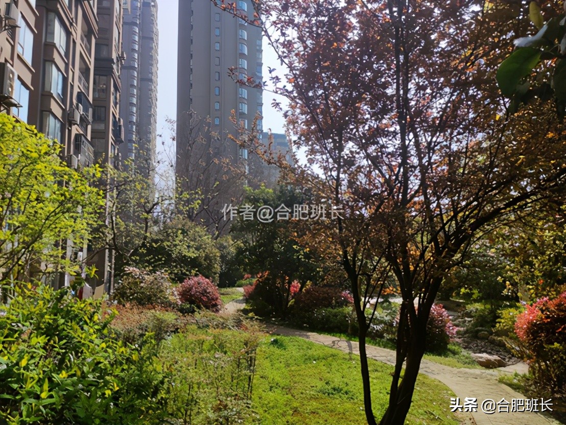 合肥水景房推荐,合肥绿地海顿公馆是住宅吗