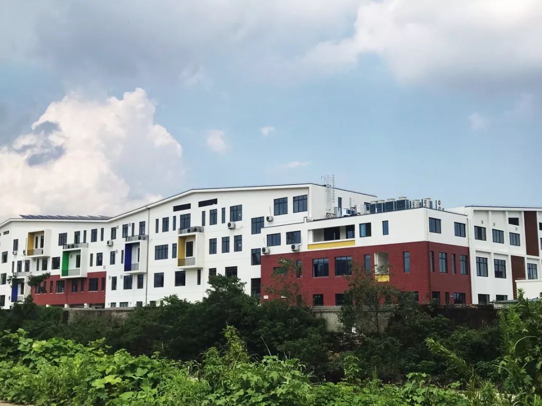 宁波学校开学时间最新消息,宁波中小学迎来开学