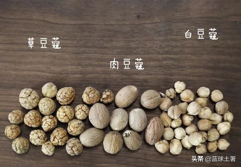 西餐香料不用葱,西餐怎么使用蒜