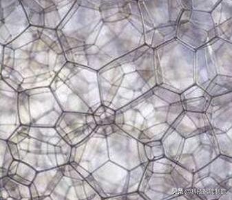 显微镜的价格最便宜的,日本口袋放大120倍显微镜