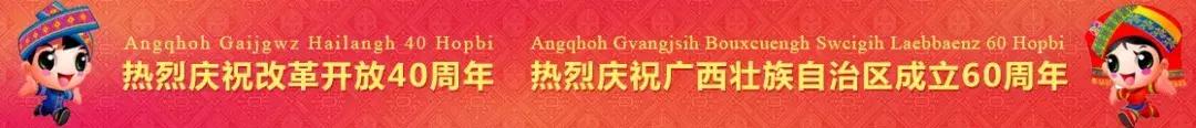 中国南宁跨境电商综合试验区,南宁市跨境电商综合试验区