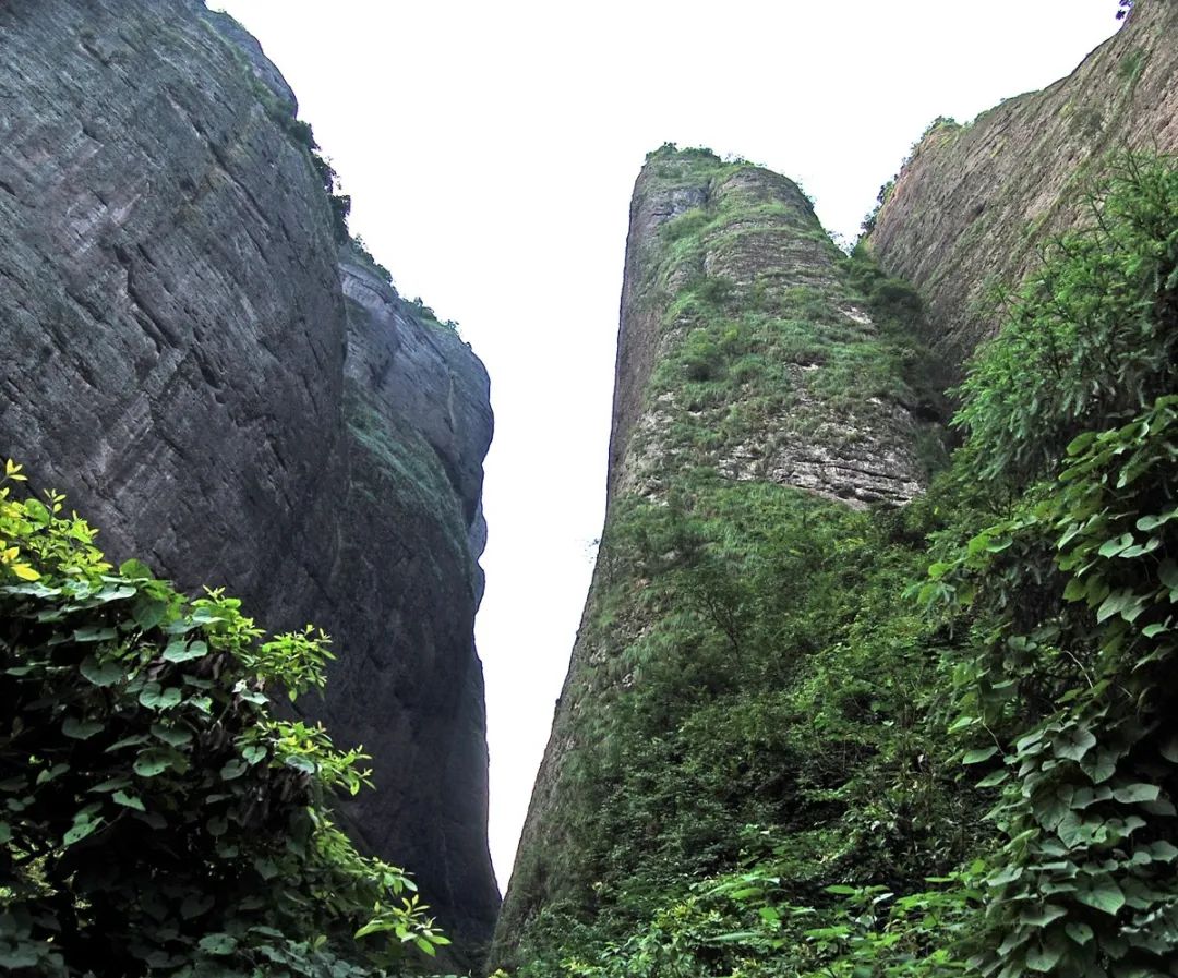 庄子的文化常识及思想,庄子的内篇有哪七篇